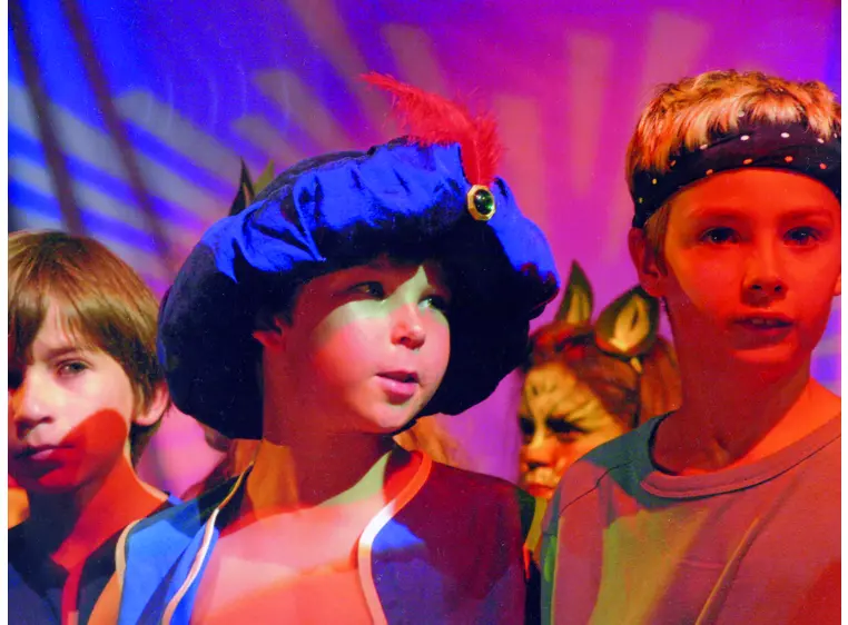 Omnilux PAR-64 240V/500W GX16d NSP 300h H 